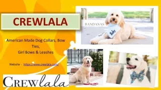 Crewlala - How to train your dog to walk on a leash