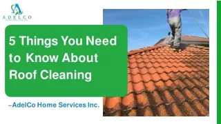 5 Things You Need to Know About Roof Cleaning