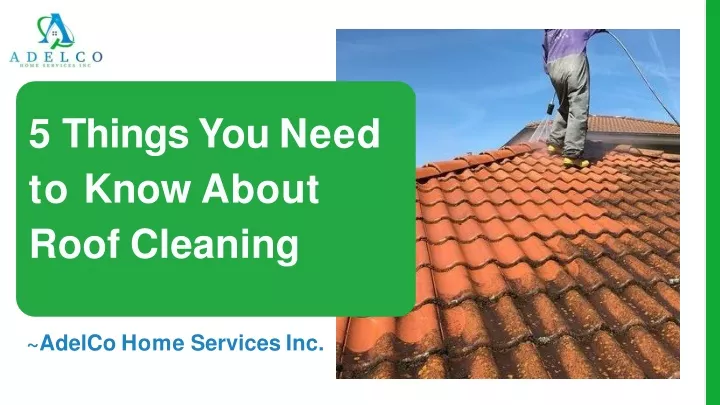 5 things you need to know about roof cleaning