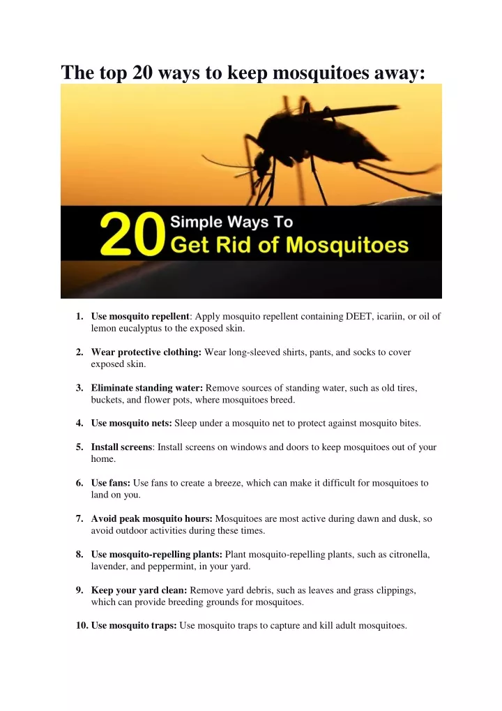 the top 20 ways to keep mosquitoes away