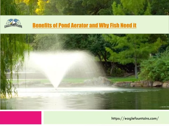 benefits of pond aerator and why fish need it