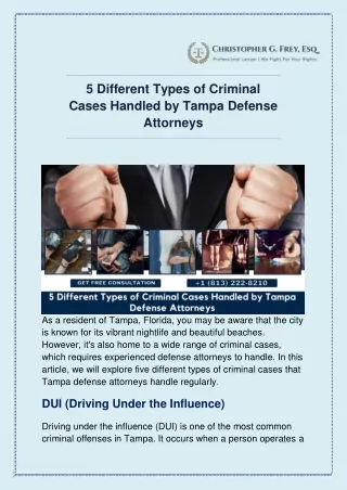 5 Different Types of Criminal Cases Handled by Tampa Defense Attorneys