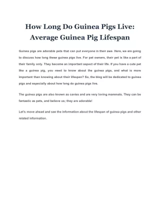 How Long Do Guinea Pigs Live Average Guinea Pig Lifespan