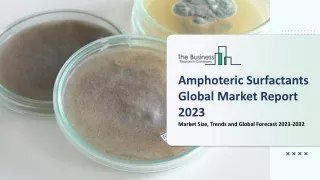 Amphoteric Surfactant Market Size, Competitive Landscape and Market Forecast