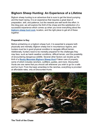 bighorn sheep hunting an experience of a lifetime