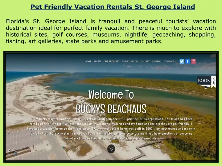 pet friendly vacation rentals st george island