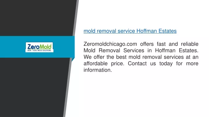 mold removal service hoffman estates