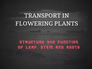 transport in flowering plants