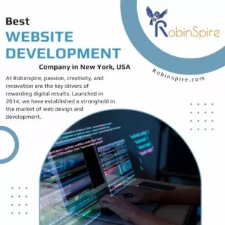 Best Web Development Company | RobinSpire.com