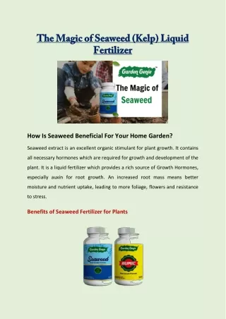 The Magic of Seaweed (Kelp) Liquid Fertilizer