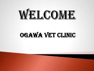 welcome