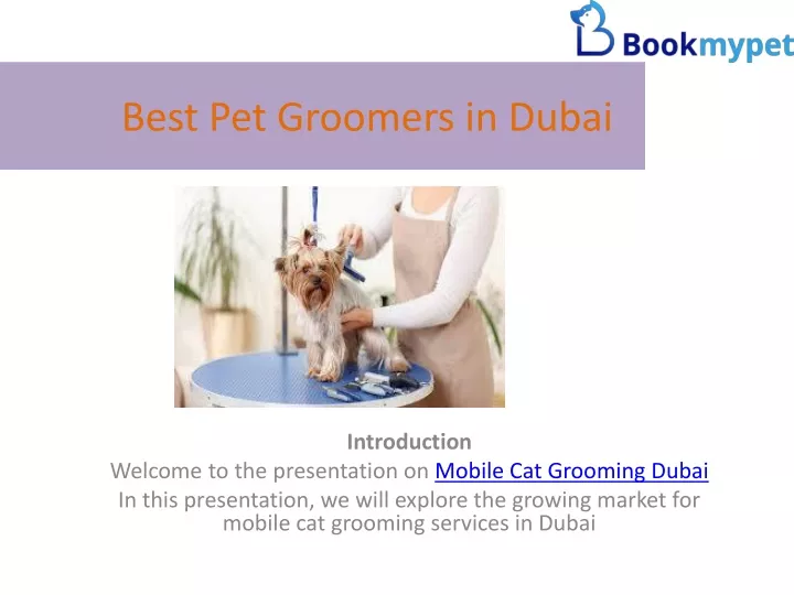 best pet groomers in dubai