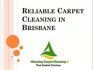 Reliable Carpet Cleaning in Brisbane