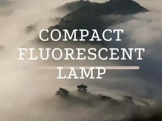 compact fluorescent lamp