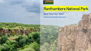 Wildlife Tour - Ranthambhoresafari.net