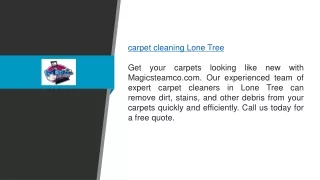 carpet cleaning lone tree get your carpets