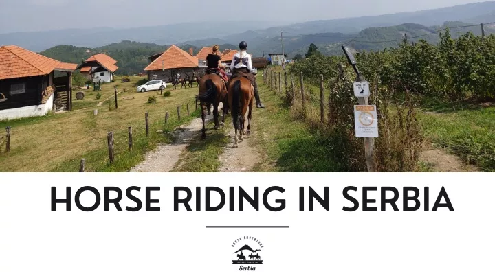 horse riding in serbia