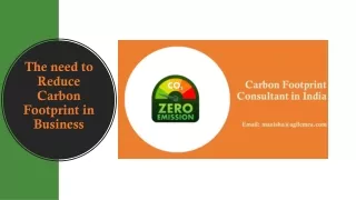 the need to reduce carbon footprint in business