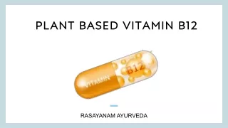 Plant Based vitamin b12