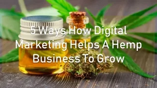 5 Ways How Digital Marketing Helps A Hemp Business To Grow