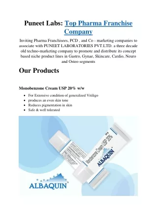 Puneet Labs Top Pharma Franchise Company