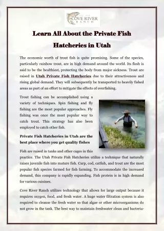 Learn All About the Private Fish Hatcheries in Utah