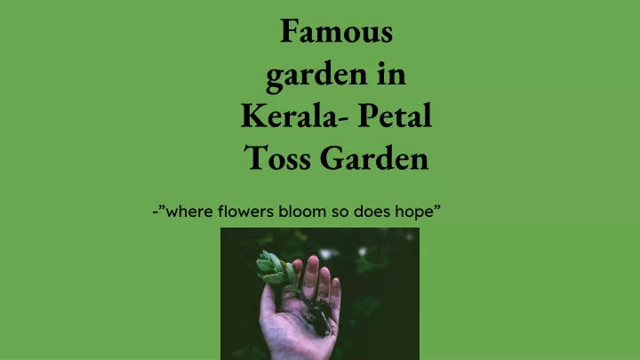 famous garden in kerala petal toss garden