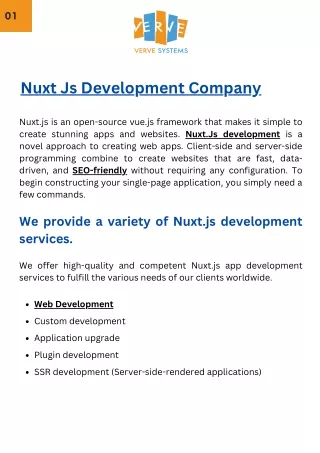 Nuxt Js Development Company - Verve Systems
