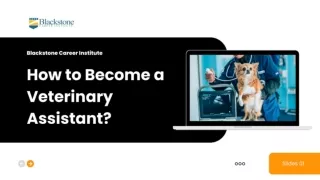 How to Become a Veterinary Assistant