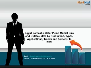 Egypt Domestic Water Pump Market 2023-2028: Competitive Landscape Analysis