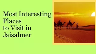 Most interesting places to visit in Jaisalmer