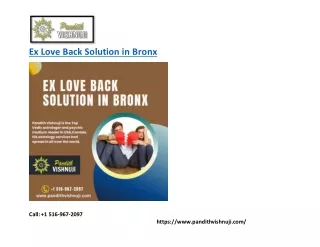ex love back solution in bronx