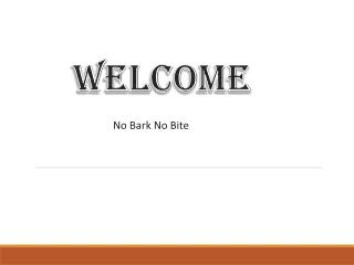 No Bark No Bite