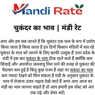 चुकंदर का भाव  मंडी रेट