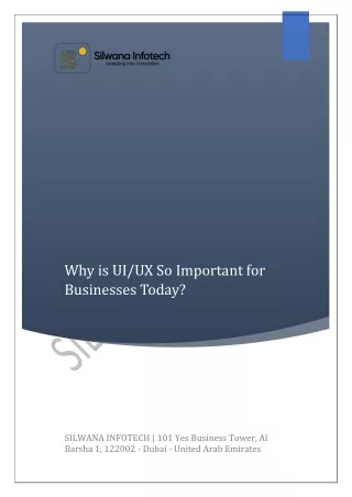 Silwana Infotech Why is UI UX So Important for Buinesses Today