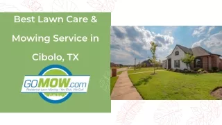 Best Lawn Care & Mowing Service in Cibolo, TX