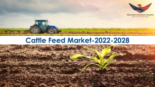 cattle feed market 2022 2028