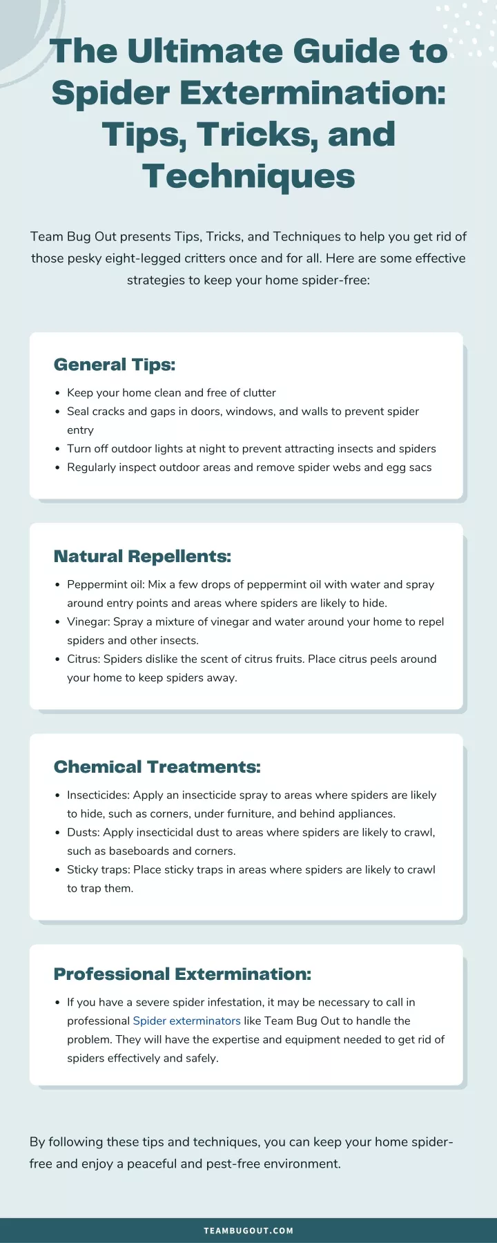 the ultimate guide to spider extermination tips