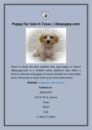 puppy for sale in texas abcpuppy com