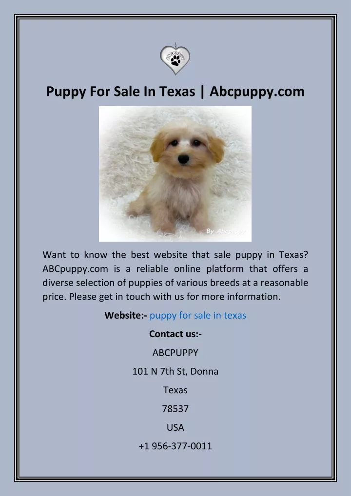 puppy for sale in texas abcpuppy com