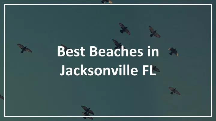 best beaches in jacksonville fl