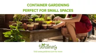 Container Gardening: Perfect for Small Spaces