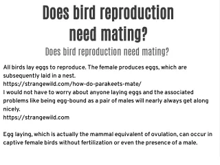 Can a female parakeet cohabit with two males?