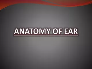 anatomy of ear