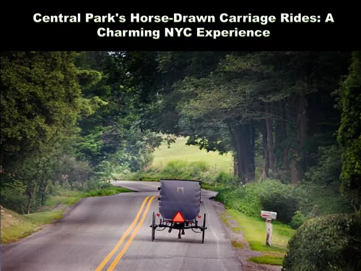central park s horse drawn carriage rides