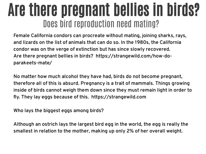 are there pregnant bellies in birds does bird