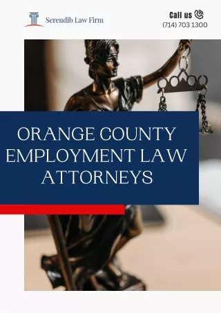 Top Orange County Employment Law Attorneys - Serendib Law Firm APC