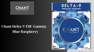 Chant Delta-9 THC Gummy – Blue Raspberry