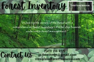 forest inventory forest inventory