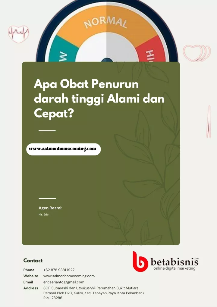 apa obat penurun darah tinggi alami dan cepat